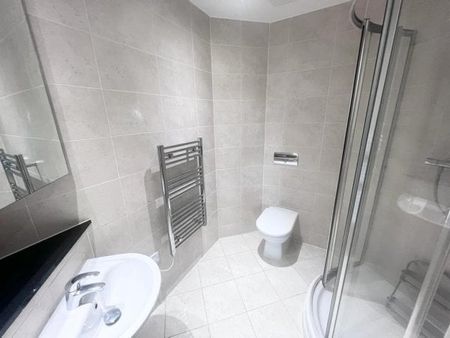 River Crescent, Nottingham, NG2 - Photo 5