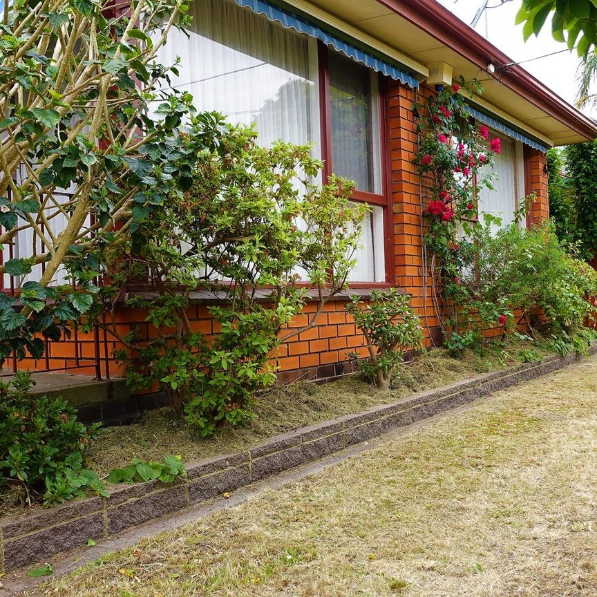 Appealing Elevated Classic Home - Photo 1