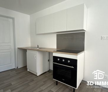 Location Appartement 2 pièces 30m² AVESNES SUR HELPE 59440 - Photo 5