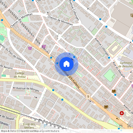 Avenue d'Echallens 44, Lausanne