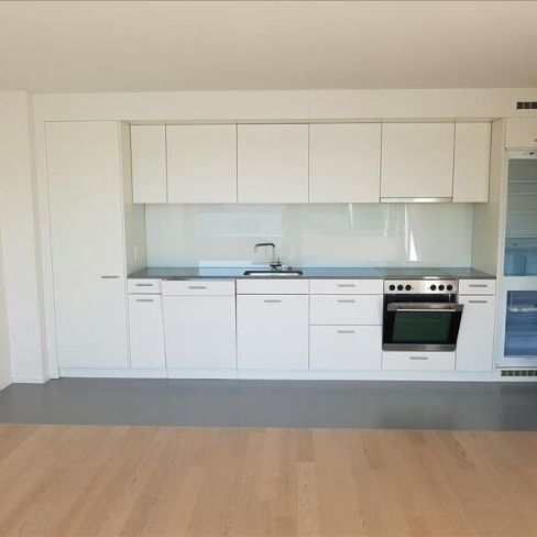 Appartement moderne de 2,5 pièces dans la nouvelle ville de Lucerne - Foto 1