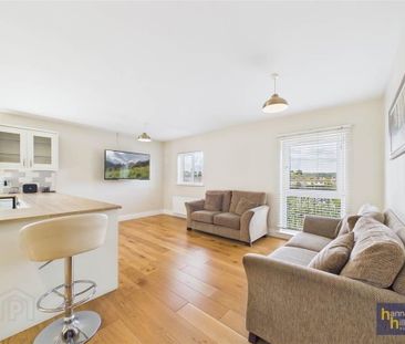 19 Springhill Court, Newry, BT34 1AS - Photo 1