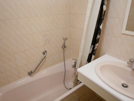 Location Appartement 2 pièces 43m² ANNECY 74000 - Photo 3