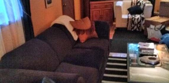 3 1/2,completement meubler,chien accepter,tout comprit,a louer Ste adele - Photo 2