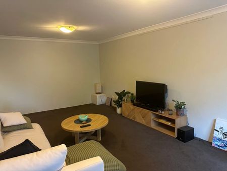 Alexandria - Photo 2