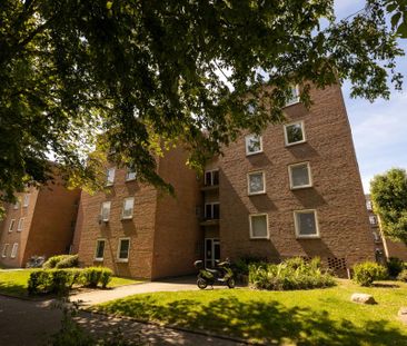 Tolle 3-Zimmer-Wohnung mit Balkon in Oldenburg-Nadorst! - Photo 4