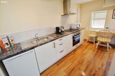 83 Sunday'S Well Road,Cork, Sunday's Well, Co. Cork - Photo 5