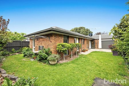 Single-Level Sanctuary - Photo 5