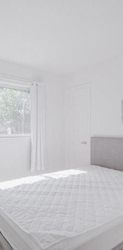 3 ½ entièrement meublé à louer Sainte-Foy / Sillery février 2026 - Photo 1