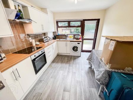 88 Low Road, Lisburn, BT27 4TJ - Photo 3