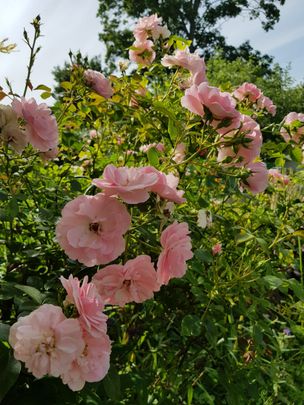 Västergöksvägen, Vällingby - Photo 1