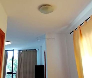 Se alquila en Guargacho partamento de 1 dormitorio - Photo 6