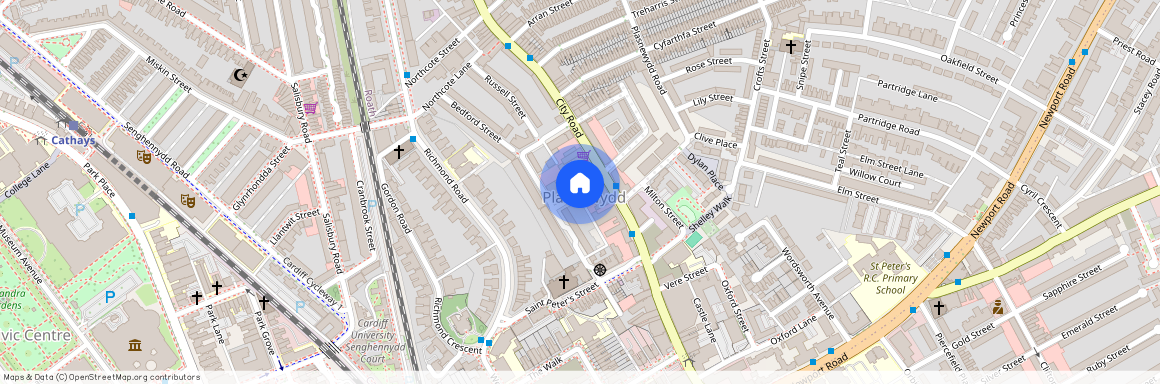 Penlline Street, Cardiff, CF24