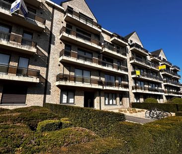 Gelijkvloers appartement te huur in Lokeren - Photo 5