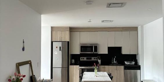 4 1/2 Cession de bail Laurier / Mile end - Photo 3