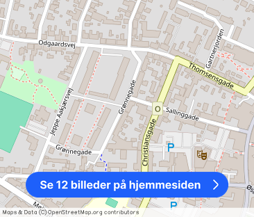 Grønnegade 20A 2. TH 7800 Skive - Foto 1