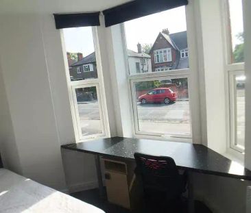 Standard Studio - Photo 6