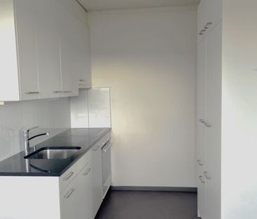 Looking for a new home - Photo 4