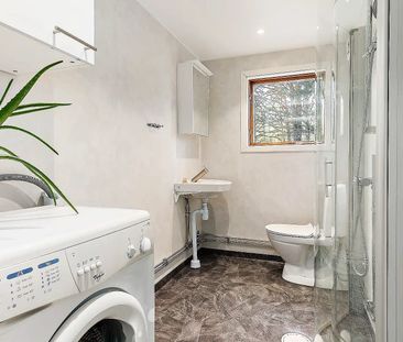 Blåhakeslingan, Ingarö - Foto 3