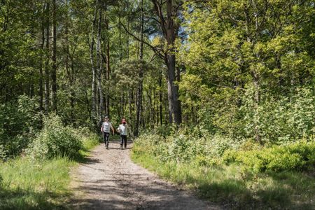 Sjupundsgatan 21 - Photo 3