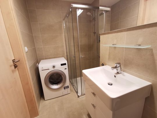 Apartment for rent, 1+KK - Studio, 50m - Photo 1