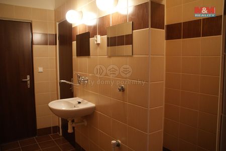 Pronájem bytu 1+1 45 m² - Fotografie 3