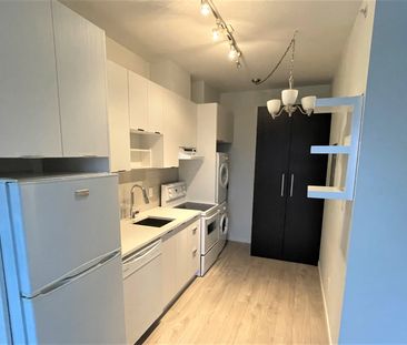 Bachelor Suite For Rent In Surrey/ Pets Allowed. - Photo 5