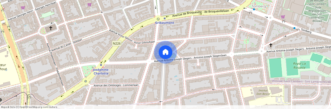 Avenue Constant Montald, 1, 3, 1200, Woluwe-Saint-Lambert