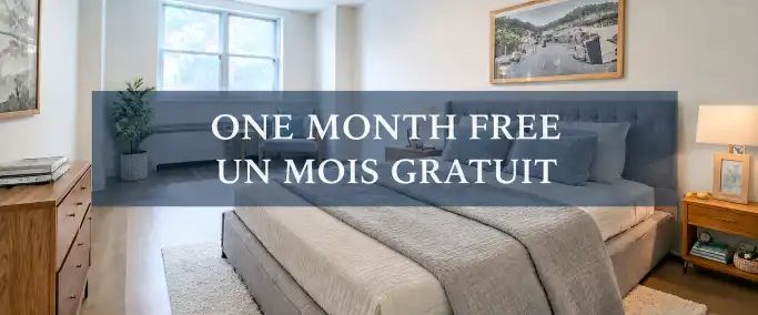 3445 Rue Stanley | 3445 Stanley, Montreal - Photo 1