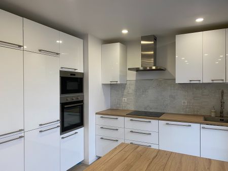 Location Appartement 3 pièces 90m² ALTKIRCH 68130 - Photo 2