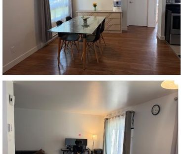 Appartement 4 1/2 à Lévis - Photo 1