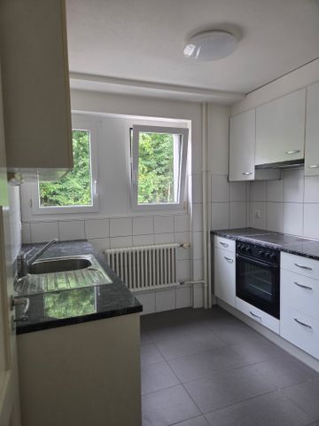 Ihr neues Zuhause in der Nähe der Saane - Photo 5