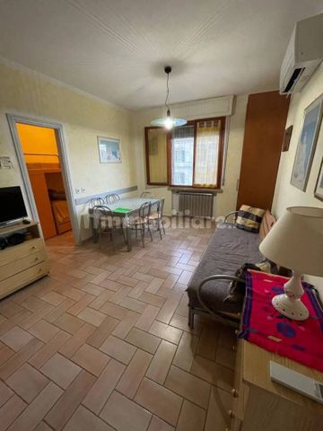 Trilocale via Girolamo Vecchiani San C., Marina di Pisa, Pisa - Photo 2