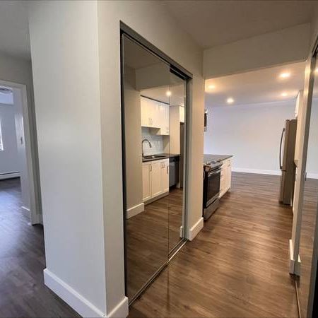 Newly Renovated 3 BR/1.5BA near SFU, Lougheed Mall, Skytrain Statin - Photo 4