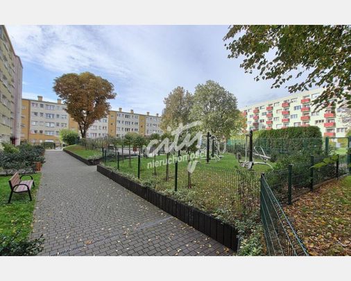 Szczecin - Zdjęcie 1