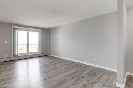 2 Bedroom - Photo 4