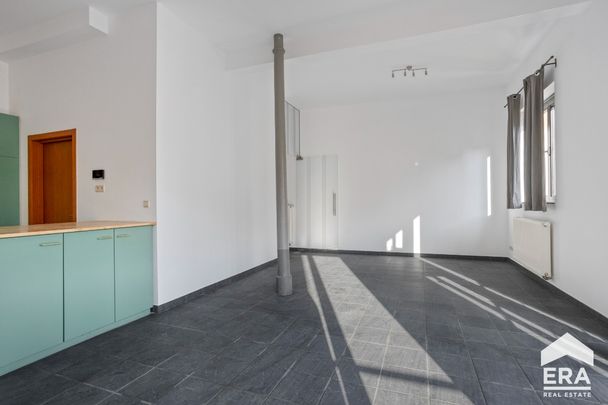 Charmant gelijkvloers duplexappartement - Photo 1