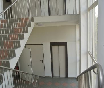 Sonnige Wohnung- Nähe Zentrum und dem Bahnhof- nur 16 min. mit der ... - Photo 4