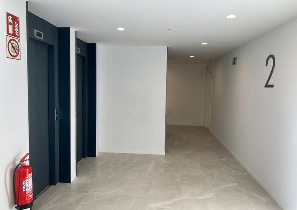 Modern apartment in Palma to rent