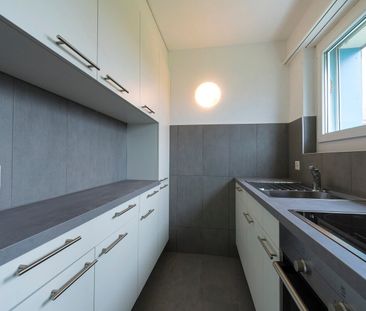 Appartement de 2.5 pièces au rez-de-chaussée - Photo 1