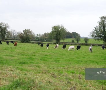 6 Fair Green Court, Killylea, BT60 4JZ - Photo 4