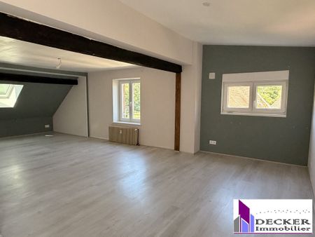 Location Appartement 6 pièces 178m² WINGEN SUR MODER 67290 - Photo 2
