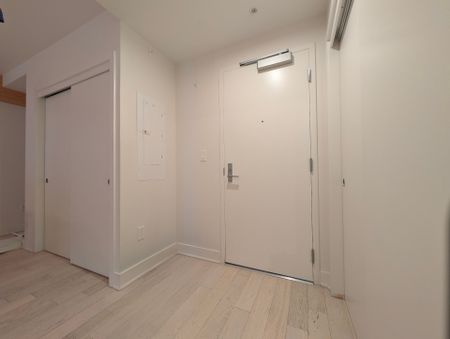 Rue Eleanor, H3C 0T5, Montréal - Photo 2