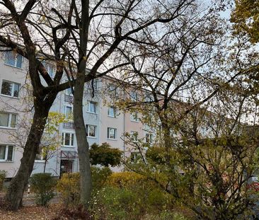 Renovierte ruhige 2 Zimmer-Wohnung im Grün - Photo 5