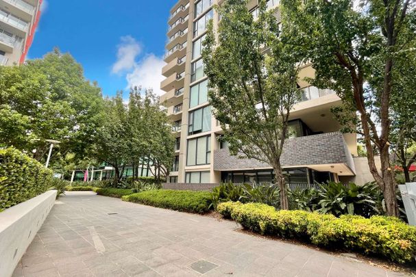 Two Bedroom Apartment with a Huge Balcony - Photo 1