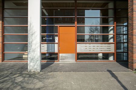 Appartement te huur: Lodewijk Pincoffsweg 171 3071 AS Rotterdam - foto 5