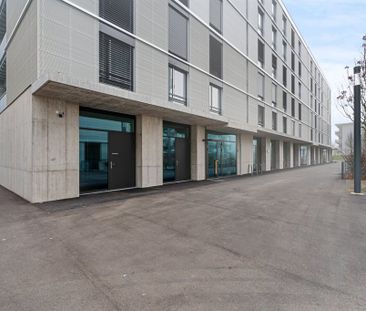 2 ½ Zimmer-Wohnung in St. Gallen mieten - Foto 1