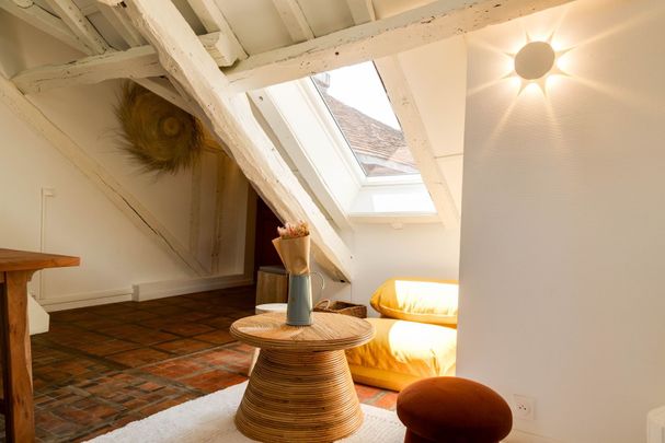 Magnifique appartement meublé de 2 pièces - Photo 1