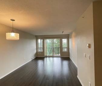 2 bed/ 2 bath TOP FLOOR apt for rent - Photo 3