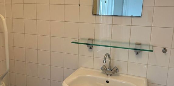 Pijlijserstraat - Foto 2